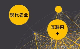 丰信农业 互联网 时代下的新农业